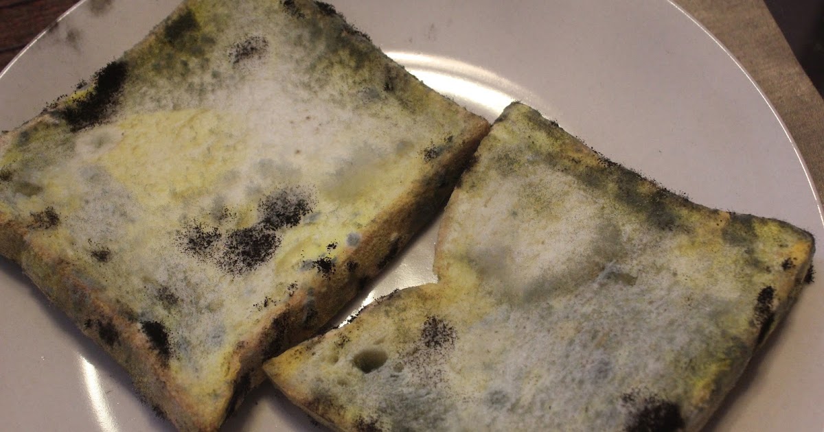 Bedal Roti Expired Sebab Nampak Elok Lagi, Lelaki Serik Lepas Buat Ujian Najis