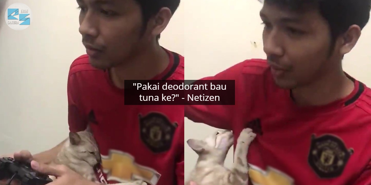 [VIDEO] Sampai Ketiak Pun Nak Dihidu, Pemuda Pelik Dengan Aksi Kucing Ini
