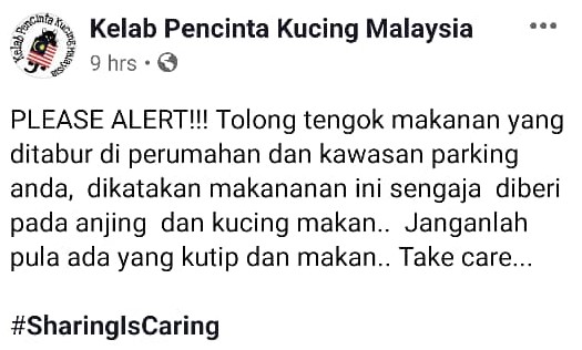 Awas Makanan Disumbat Paku, Sengaja Ditabur Aniaya Kucing & Anjing Kelaparan