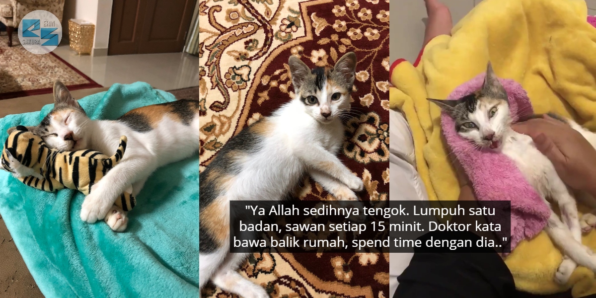 Depress Lepas Terhimpit Anak Sendiri, Kisah ‘Siti Afiyah’ Runtun Jiwa Ramai