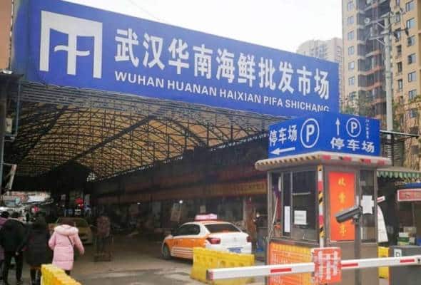Ibarat Tak Serik Sebar Virus, Pasar Di China Aktif Semula Jual Haiwan Eksotik