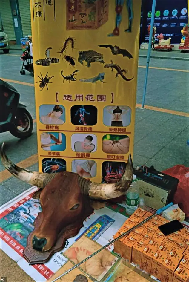 Ibarat Tak Serik Sebar Virus, Pasar Di China Aktif Semula Jual Haiwan Eksotik