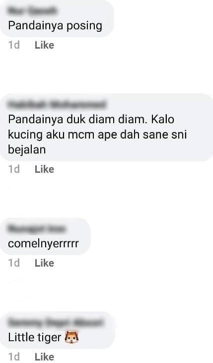 [FOTO] Hebat Beraksi Depan Kamera, Hasil ‘Candid’ Si Bulus Ini Mantap Habis