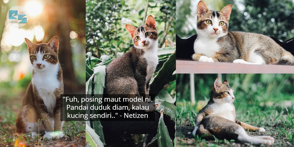 [FOTO] Hebat Beraksi Depan Kamera, Hasil ‘Candid’ Si Bulus Ini Mantap Habis