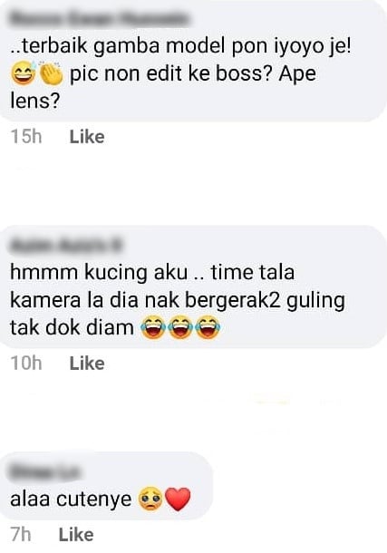 [FOTO] Hebat Beraksi Depan Kamera, Hasil ‘Candid’ Si Bulus Ini Mantap Habis