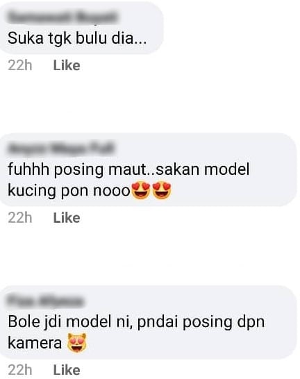[FOTO] Hebat Beraksi Depan Kamera, Hasil ‘Candid’ Si Bulus Ini Mantap Habis