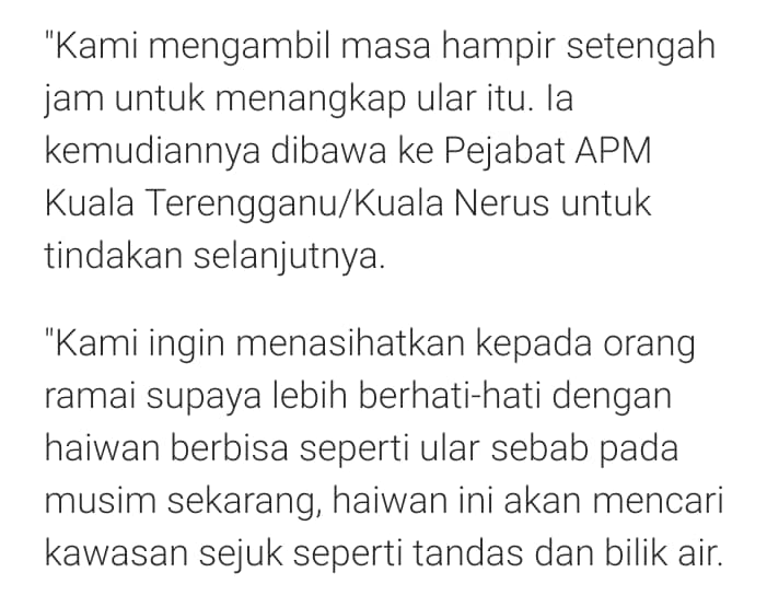 Gara-Gara Pintu Tak Berkunci, Suri Rumah Terkejut Dapat Tetamu Tak Diundang