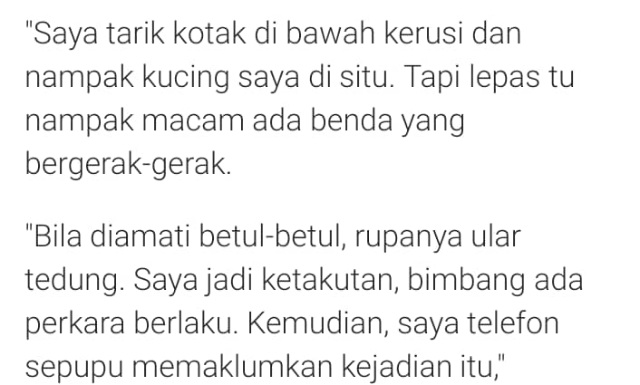 Gara-Gara Pintu Tak Berkunci, Suri Rumah Terkejut Dapat Tetamu Tak Diundang