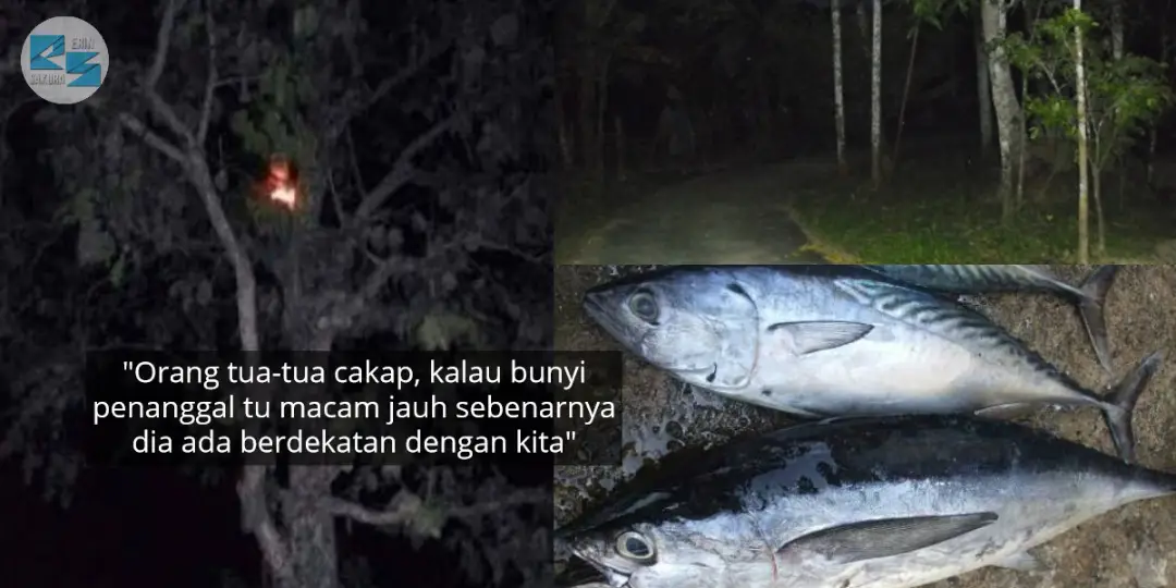 Lelaki Panik Keluarga Dikejar Penanggal, Rupanya ‘Ikan Tongkol’ Menjadi Punca..