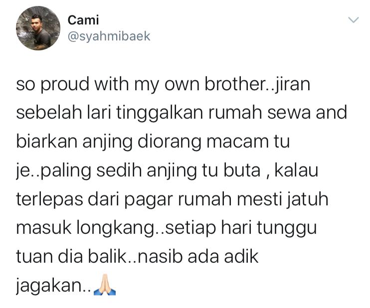 Anjing Buta Setia Tunggu Depan Pintu Lepas Kena Tinggal Dengan Tuan Rumah