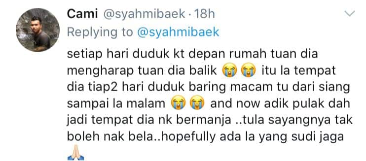 Anjing Buta Setia Tunggu Depan Pintu Lepas Kena Tinggal Dengan Tuan Rumah
