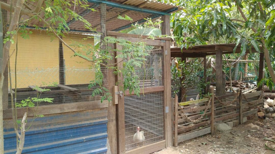 Bahagia Jalani Hidup Di Kampung, Suami Hadiahkan Isteri Reban Ayam Sempena..