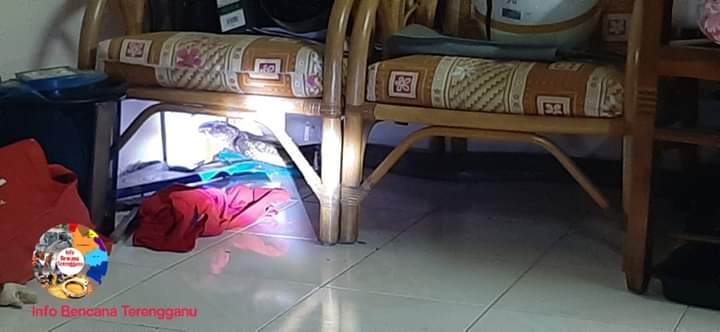 Gara-Gara Pintu Tak Berkunci, Suri Rumah Terkejut Dapat Tetamu Tak Diundang