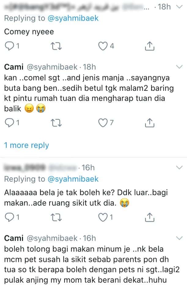 Anjing Buta Setia Tunggu Depan Pintu Lepas Kena Tinggal Dengan Tuan Rumah