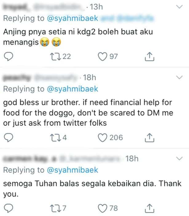 Anjing Buta Setia Tunggu Depan Pintu Lepas Kena Tinggal Dengan Tuan Rumah