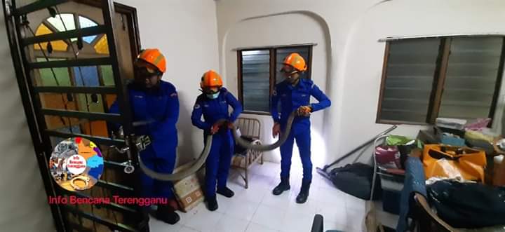 Gara-Gara Pintu Tak Berkunci, Suri Rumah Terkejut Dapat Tetamu Tak Diundang