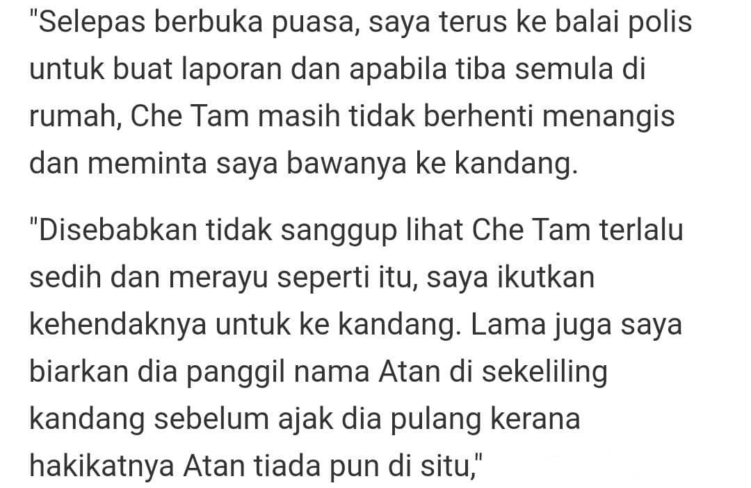 [VIDEO] Che Tam Tak Henti Meraung Sedih, ‘Atan’ Kerbau Kesayangan Hilang Dicuri