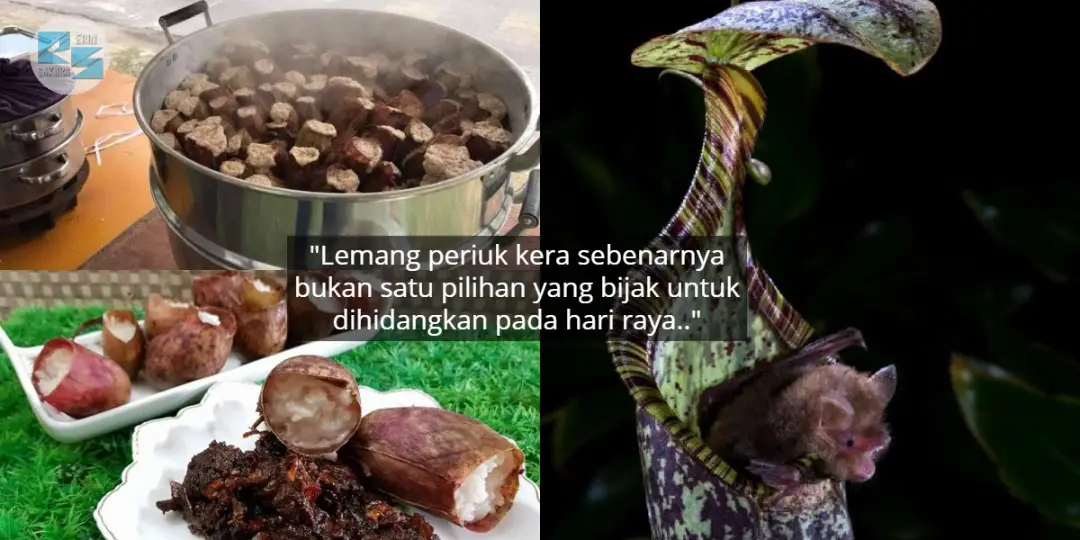[VIDEO] Sejuk & Sedap, Wajib Try Resepi Dragon Mix Fruit Masa Berbuka Nanti!