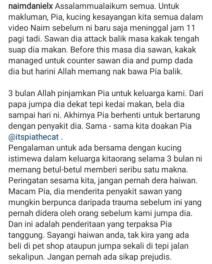 Kucing Kesayangan ‘Pergi’ Sebab Sawan, Naim Daniel Seru Hentikan Aniaya Haiwan