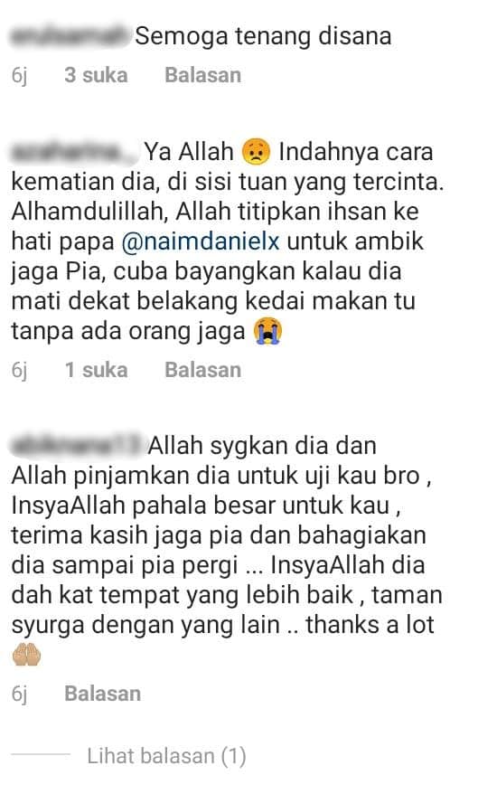 Kucing Kesayangan ‘Pergi’ Sebab Sawan, Naim Daniel Seru Hentikan Aniaya Haiwan