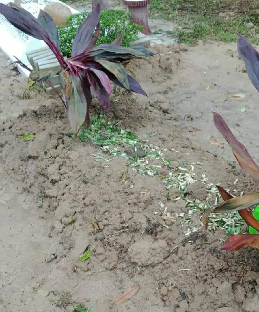 Keluarga Koperal Safwan Tuntut Keadilan, Adik Mahu Si Pelaku Dihukum Gantung..