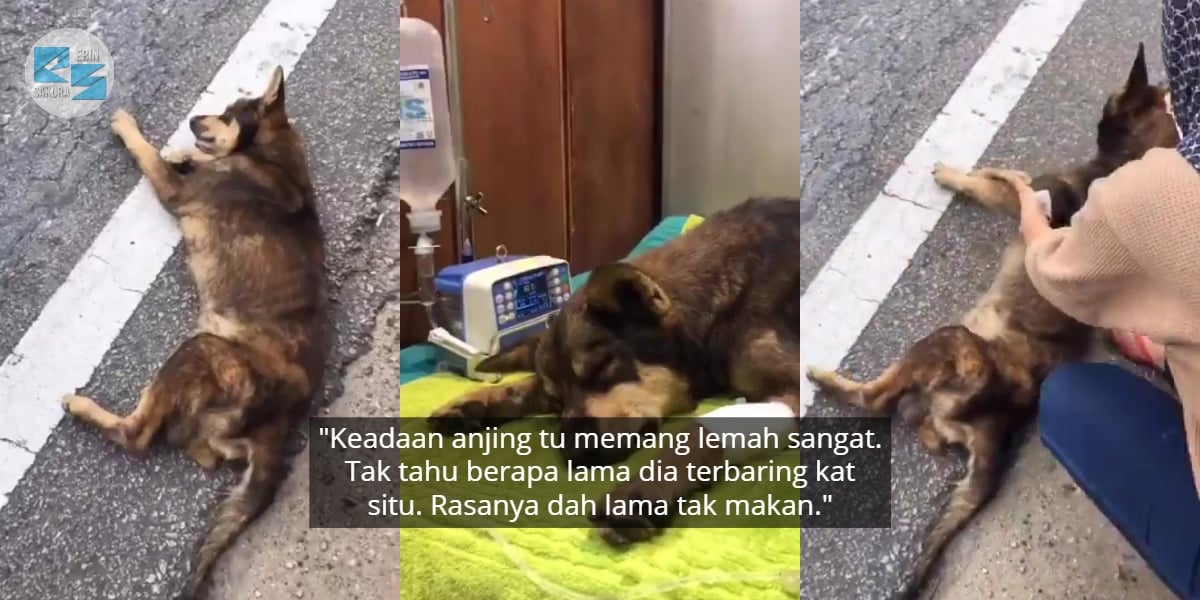 Keluarga Koperal Safwan Tuntut Keadilan, Adik Mahu Si Pelaku Dihukum Gantung..