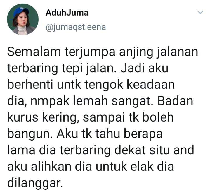 Lemah Sebab Tak Makan, Kebaikan Gadis Selamatkan Anjing Raih Pujian Ramai