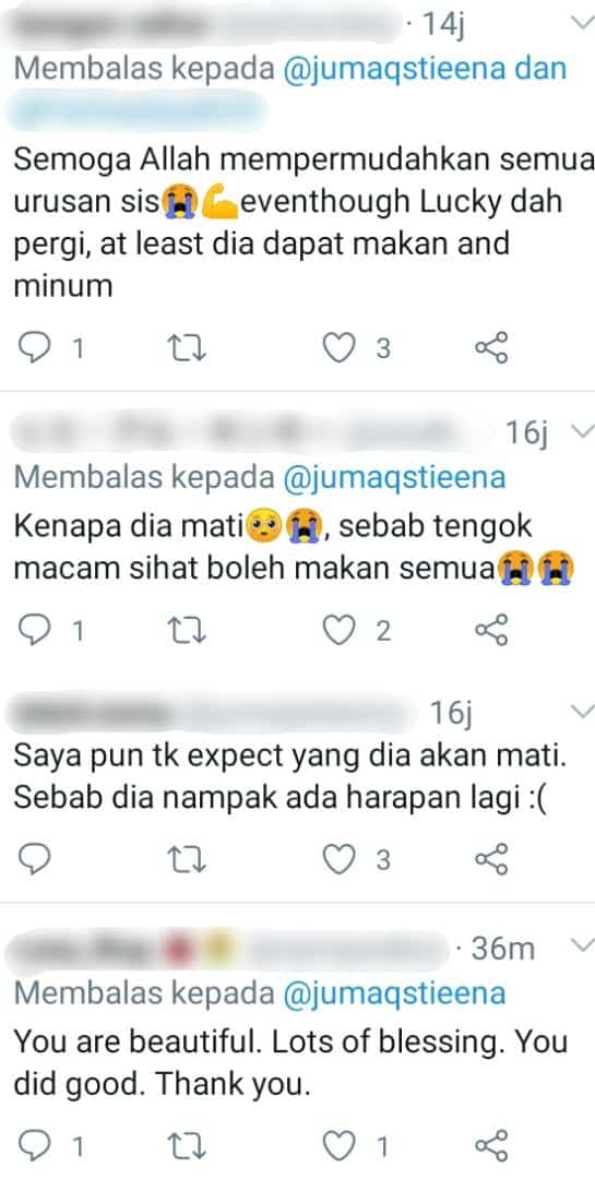 Lemah Sebab Tak Makan, Kebaikan Gadis Selamatkan Anjing Raih Pujian Ramai