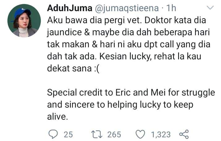 Lemah Sebab Tak Makan, Kebaikan Gadis Selamatkan Anjing Raih Pujian Ramai