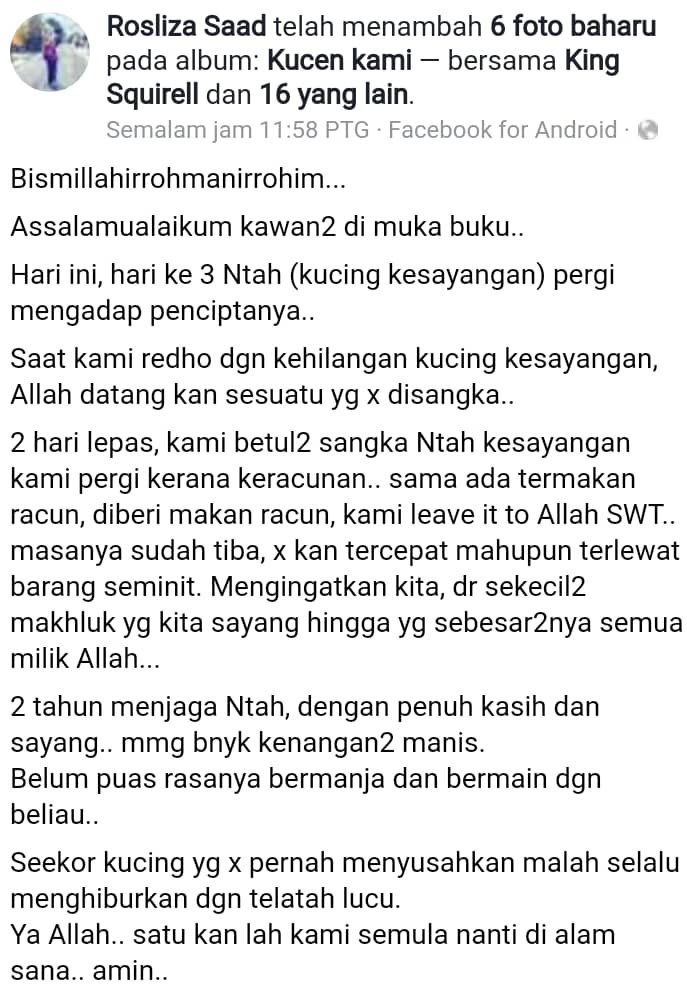 Dah 2 Hari Kucing Ajal,Pemilik Tahu Kisah Sebenar Bila Pelaku Mengaku Guna Nota