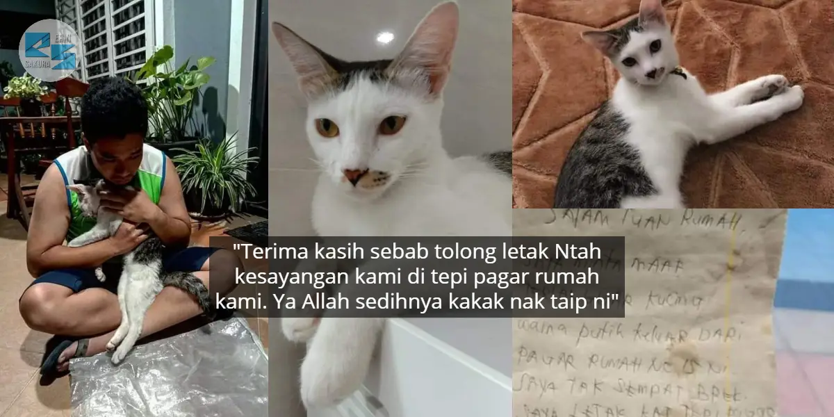 Dah 2 Hari Kucing Ajal,Pemilik Tahu Kisah Sebenar Bila Pelaku Mengaku Guna Nota