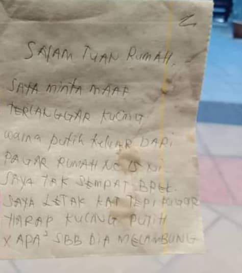 Dah 2 Hari Kucing Ajal,Pemilik Tahu Kisah Sebenar Bila Pelaku Mengaku Guna Nota