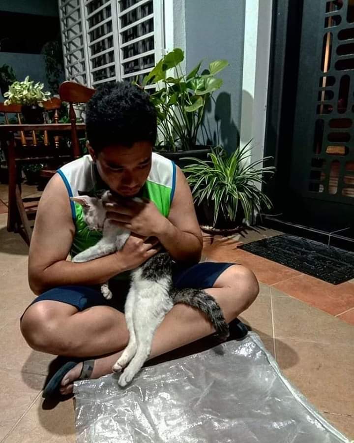 Dah 2 Hari Kucing Ajal,Pemilik Tahu Kisah Sebenar Bila Pelaku Mengaku Guna Nota