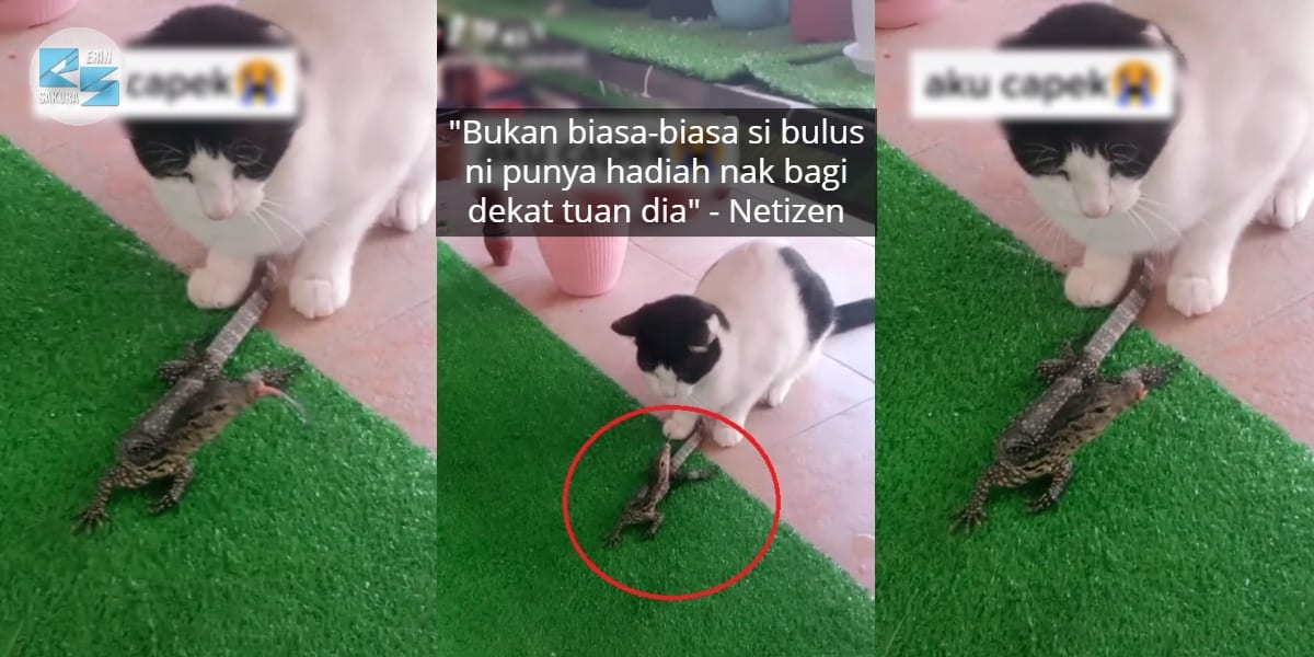 [VIDEO] Parodi Ayat-Ayat Cinta Sweet Habis, Muka ‘Si Bulus’ Jantan Curi Tumpuan