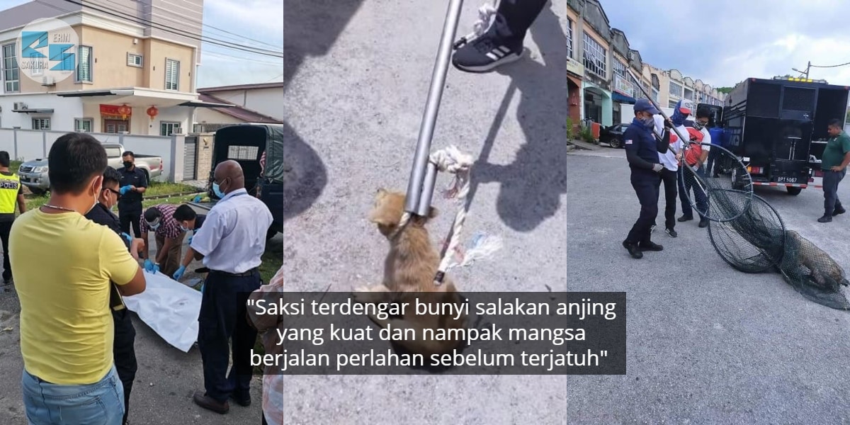 “Gigil Sebut Ibu, Ibu” – Budak Ditemui Merayau Dalam Hujan Sebab Pengasuh Cuai?