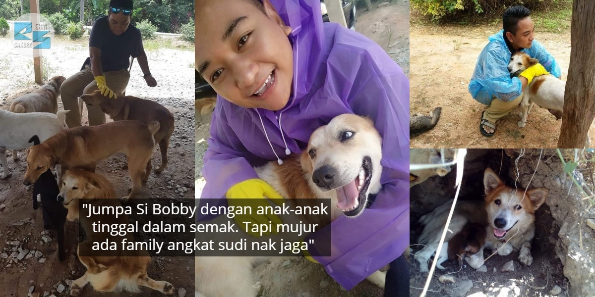 Ibu Anjing Terhutang Budi, Lelaki Sanggup Tanggung Kos Makan & Rawat 5 Anaknya