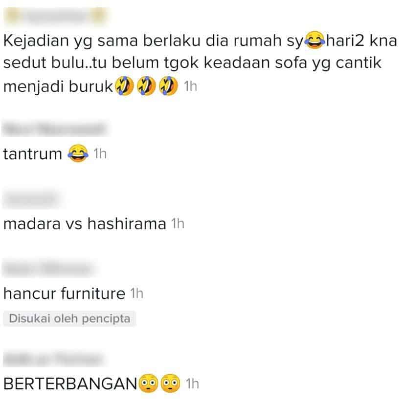 [VIDEO] Tuan Pening Tengok Sofa Berlubang, Jadi Gelanggang Tinju ‘Si Bulus’..