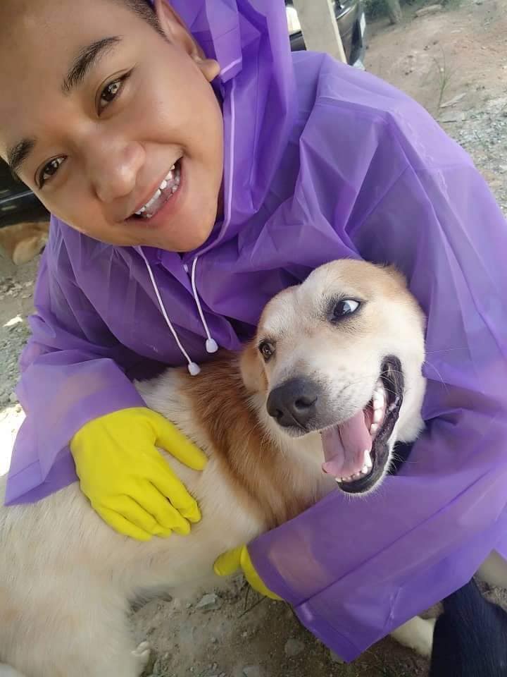 Ibu Anjing Terhutang Budi, Lelaki Sanggup Tanggung Kos Makan & Rawat 5 Anaknya