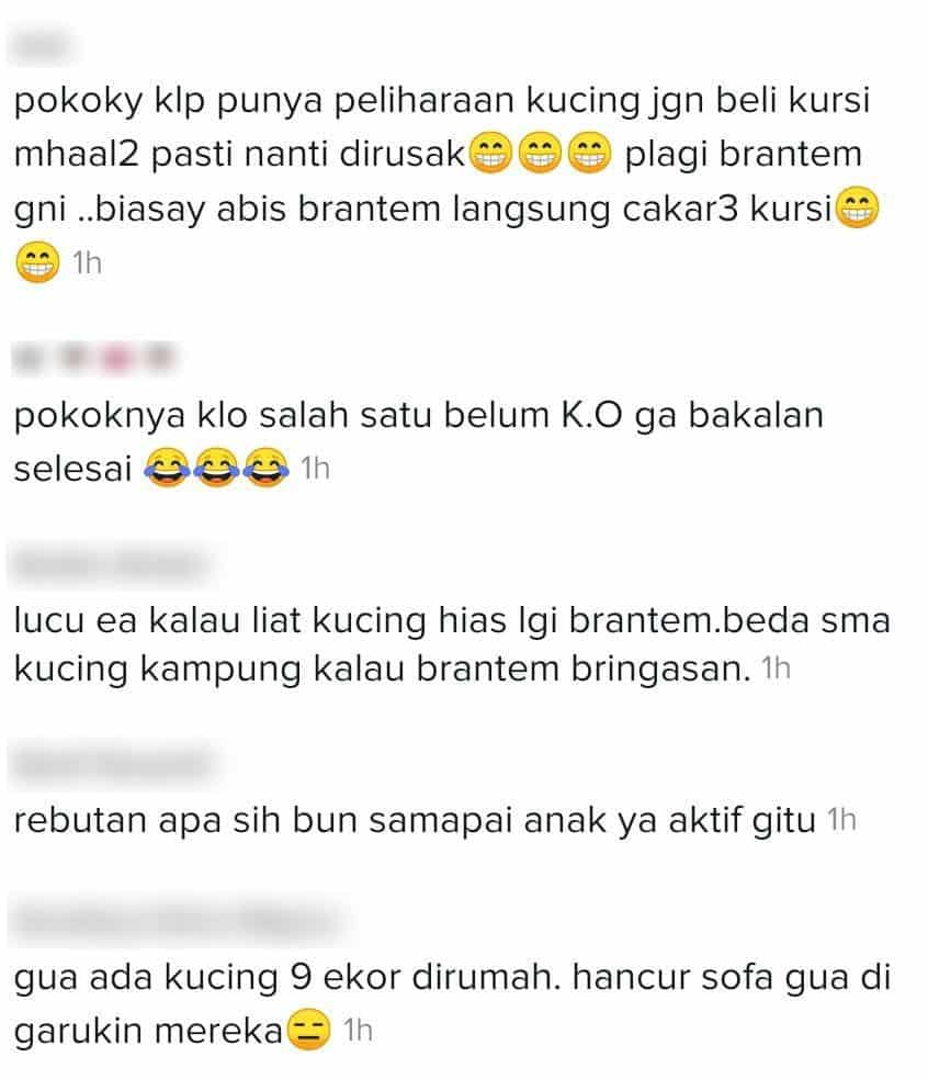 [VIDEO] Tuan Pening Tengok Sofa Berlubang, Jadi Gelanggang Tinju ‘Si Bulus’..