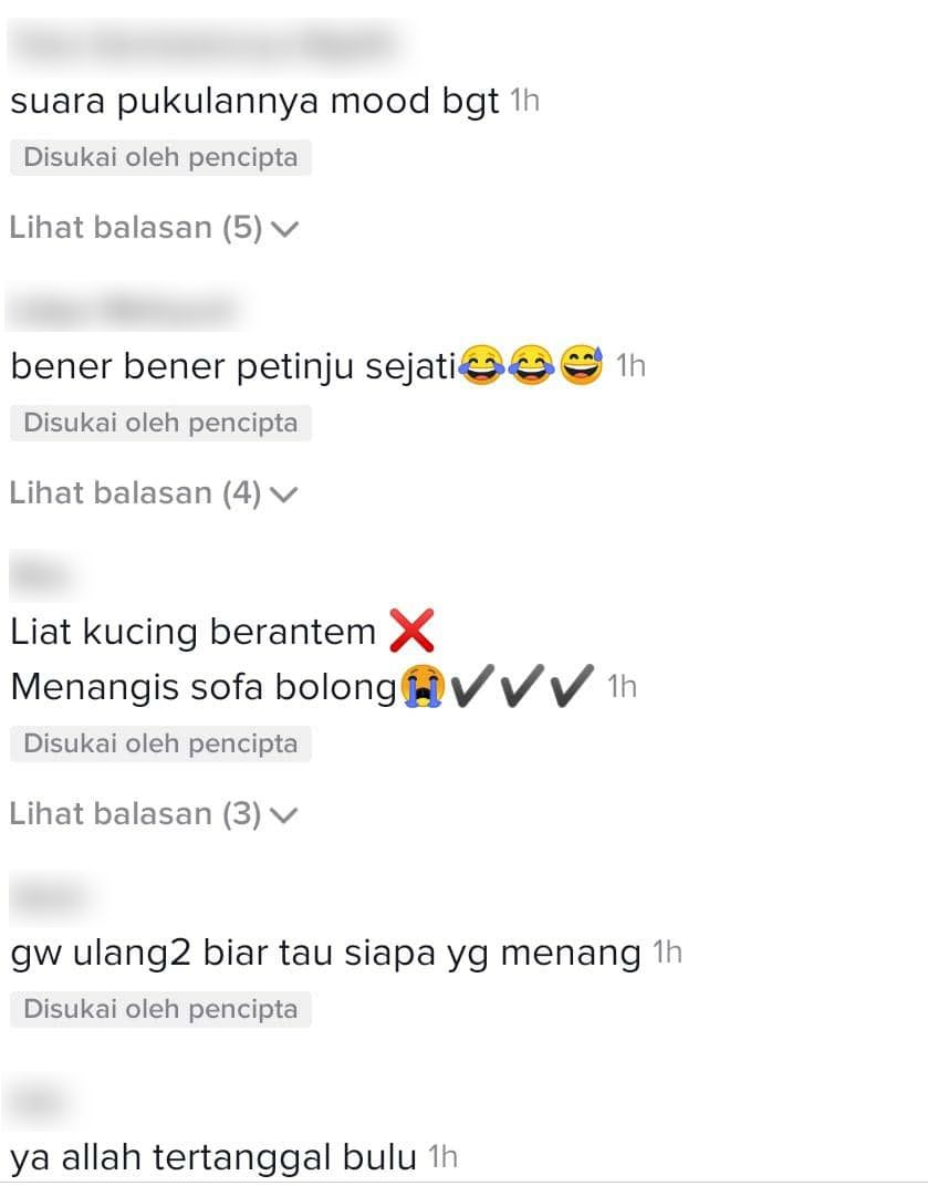 [VIDEO] Tuan Pening Tengok Sofa Berlubang, Jadi Gelanggang Tinju ‘Si Bulus’..
