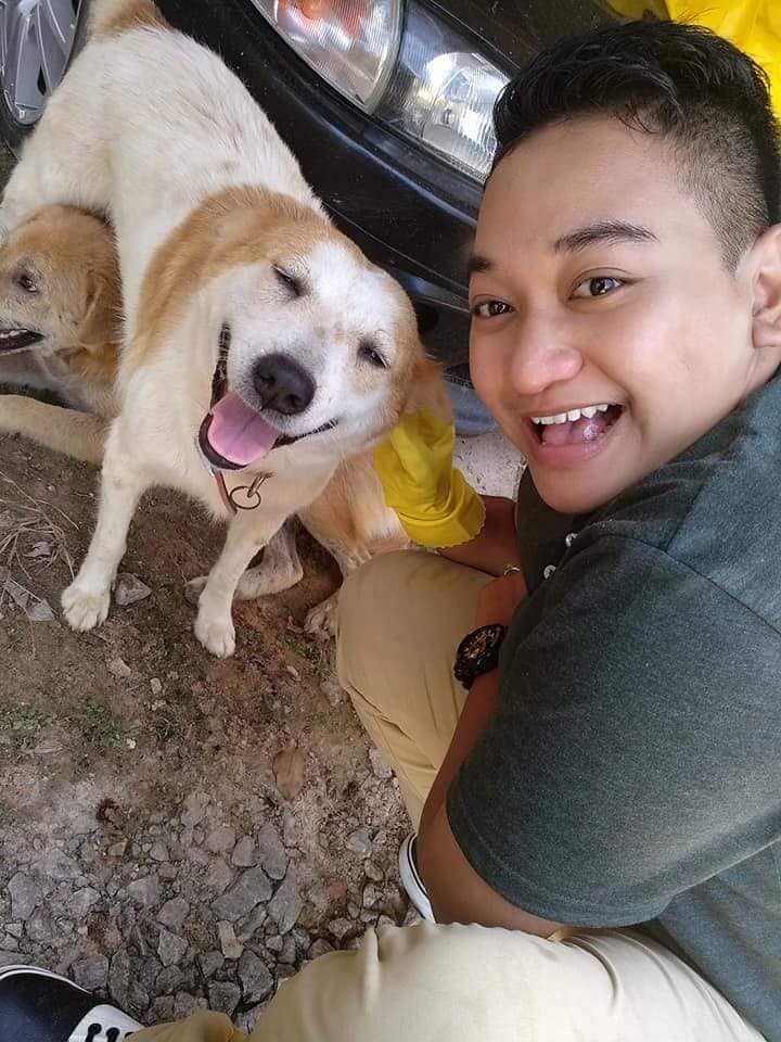 Ibu Anjing Terhutang Budi, Lelaki Sanggup Tanggung Kos Makan & Rawat 5 Anaknya