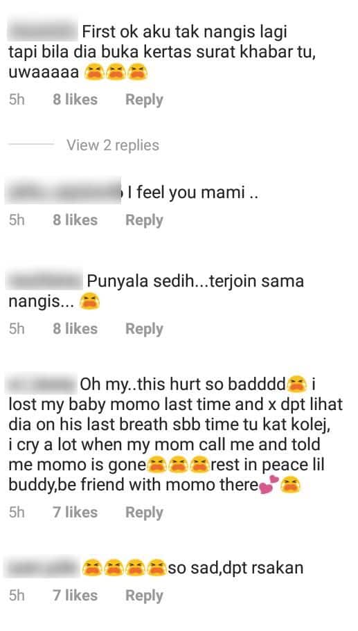 Dengan Anak Macam Adik-Beradik, Stacy Sebak Kucing Kesayangan ‘Pergi’ Selamanya
