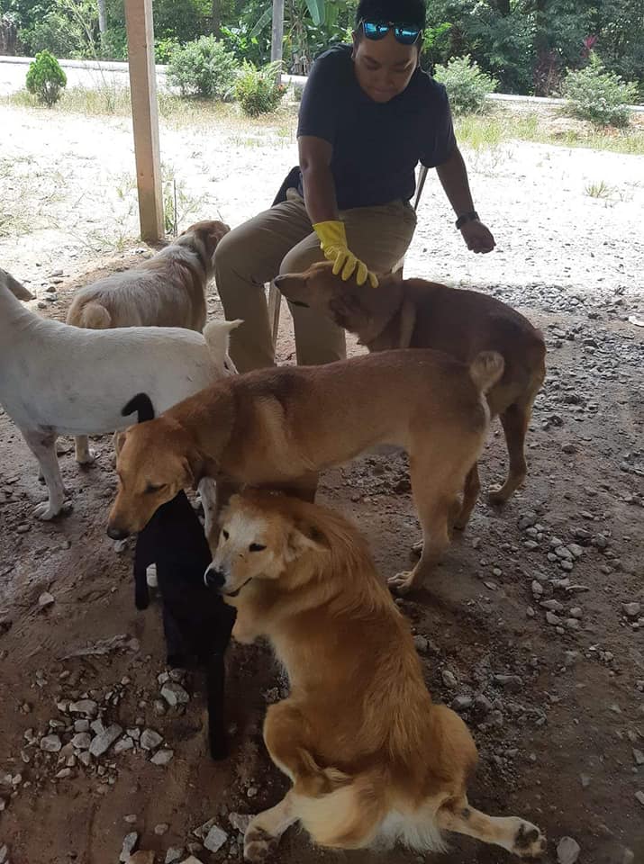 Ibu Anjing Terhutang Budi, Lelaki Sanggup Tanggung Kos Makan & Rawat 5 Anaknya