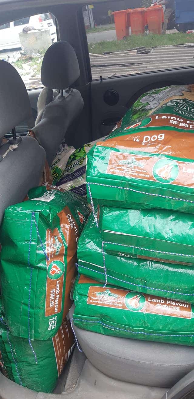Ibu Anjing Terhutang Budi, Lelaki Sanggup Tanggung Kos Makan & Rawat 5 Anaknya