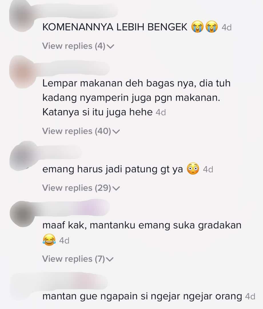 [VIDEO] Terserempak Babi Hutan Masa Hiking, Semua Tahan Gelak Nyorok Atas Pokok