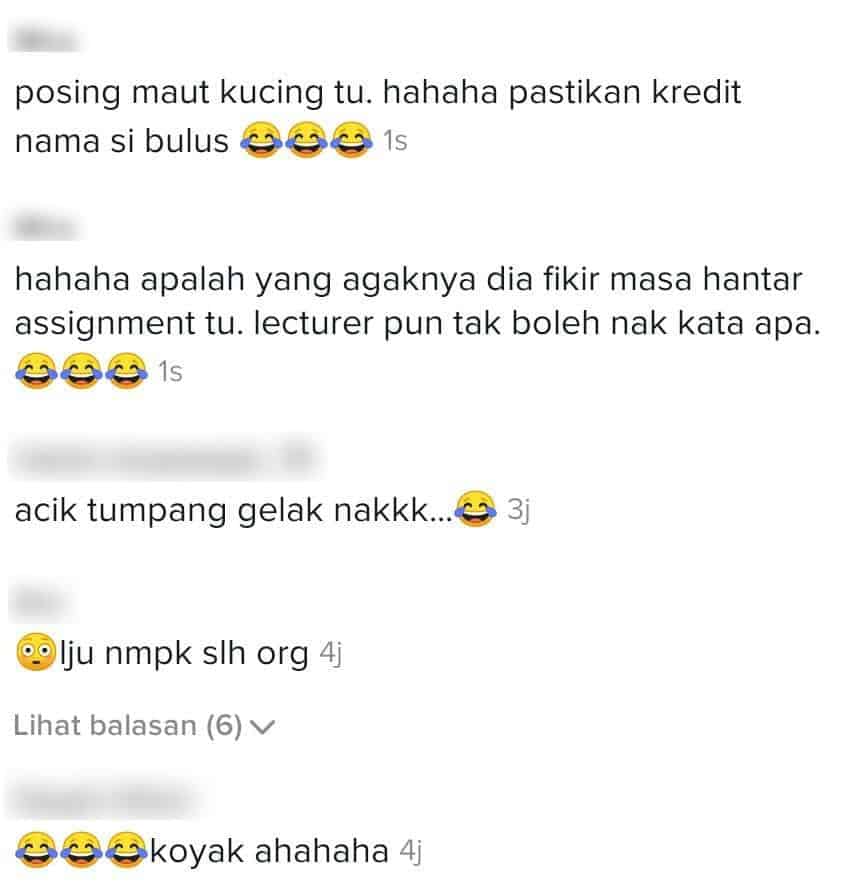 Kalut Siapkan Assignment, Sekali Terciduk Hantar Gambar ‘Aib’ Kucing Sendiri