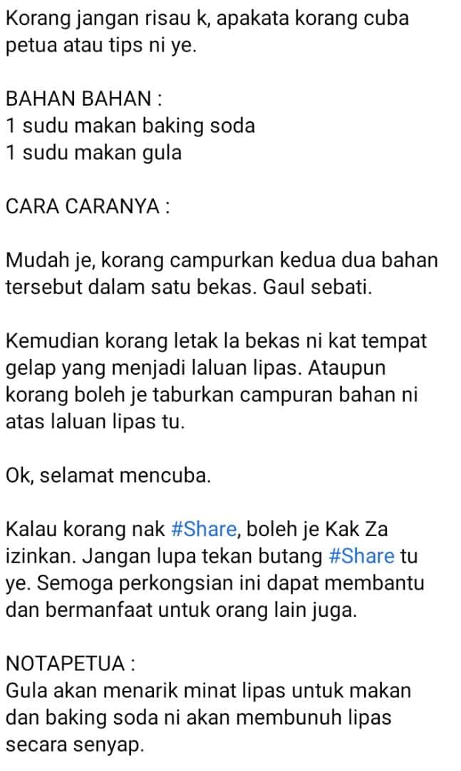Pening Lipas Selalu Membiak Di Rumah? Jangan Risau, Hapuskan Guna 2 Bahan Saja