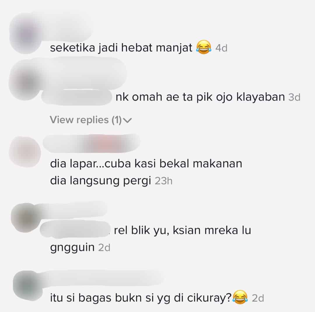 [VIDEO] Terserempak Babi Hutan Masa Hiking, Semua Tahan Gelak Nyorok Atas Pokok