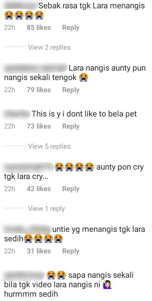 [VIDEO] Mulanya Tak Faham, Lara Alana Meraung Bila Ikan Kesayangan Dah Tiada