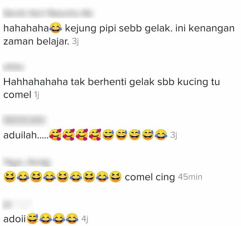 Kalut Siapkan Assignment, Sekali Terciduk Hantar Gambar ‘Aib’ Kucing Sendiri